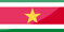 Biludlejningsanmeldelser- Suriname