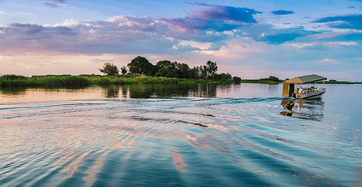Autocamper leje i Kasane