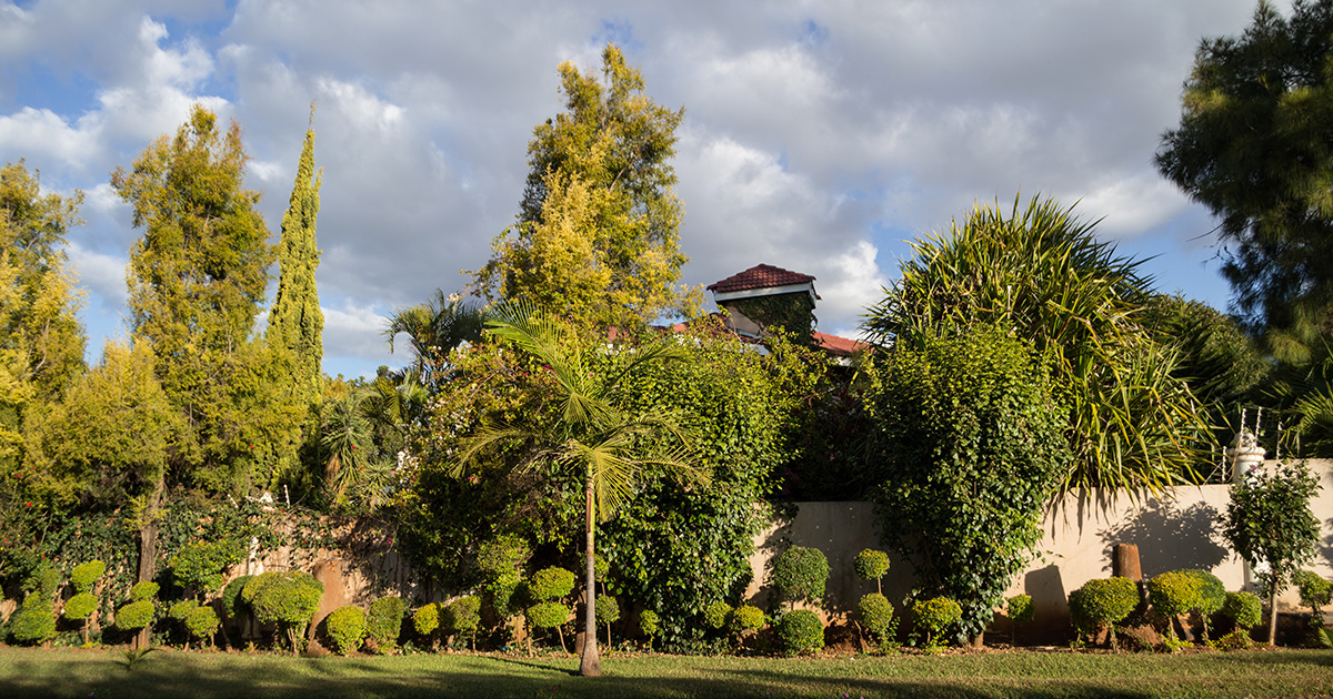 Autocamper leje Lusaka