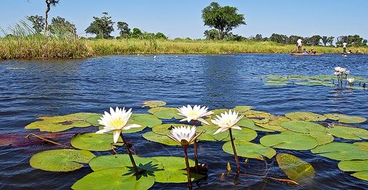 Autocamper leje i Maun