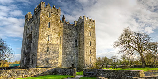 Autocamper leje i Shannon