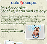 Rejs med kæledyr | Auto Europe