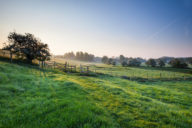Downton Abbey Road trip